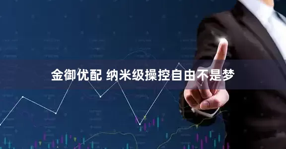 金御优配 纳米级操控自由不是梦