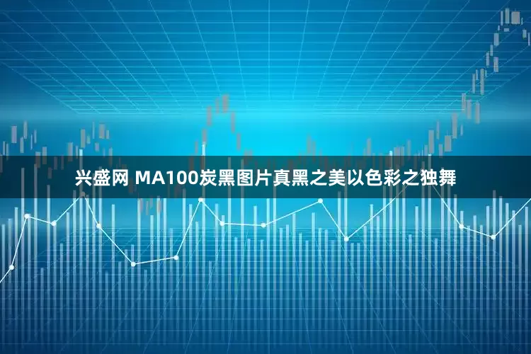 兴盛网 MA100炭黑图片真黑之美以色彩之独舞